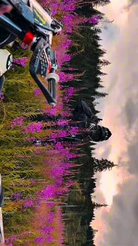 12 hours long 😍😭 @Grenzgaenger @wanted.eds  #nobodyodys #colors #flowers #nature #natureview #views #viral #viralvideos #viralreels #song #fyp #template #butterfly #bike #bikelife #ktm #grenzgaenger #foryou #grading #template