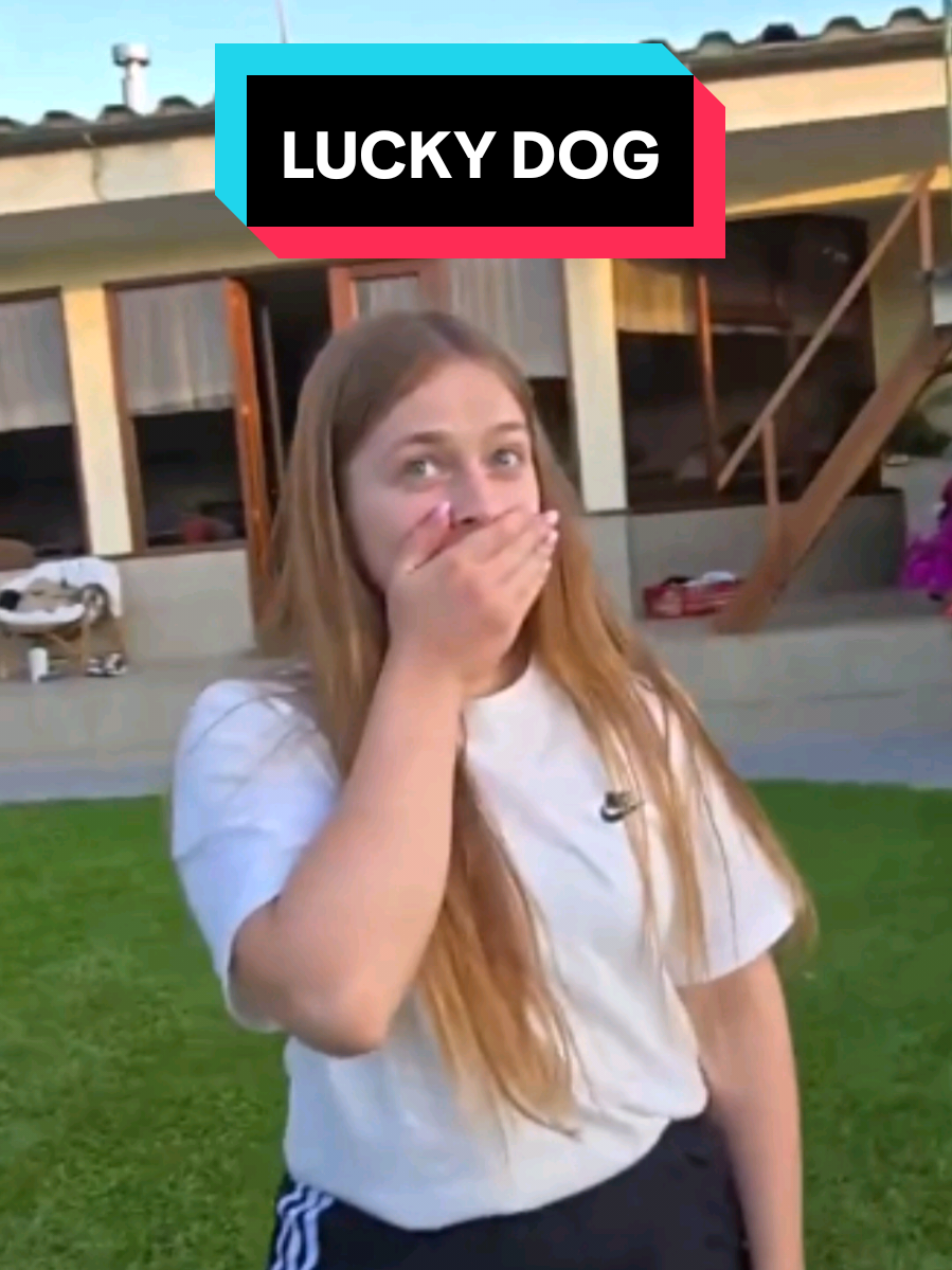 qoqsik scared her friend's dog kicking the ball very close to him 😅 #qoqsik #qoqsik1 @qoqsik #dog #football #scary #lucky #twitch #irl #streaming 