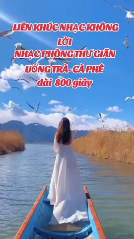 liên khúc nhạc không lời #nhachaymoingay #thinhhanhtiktok #topxuhuong #