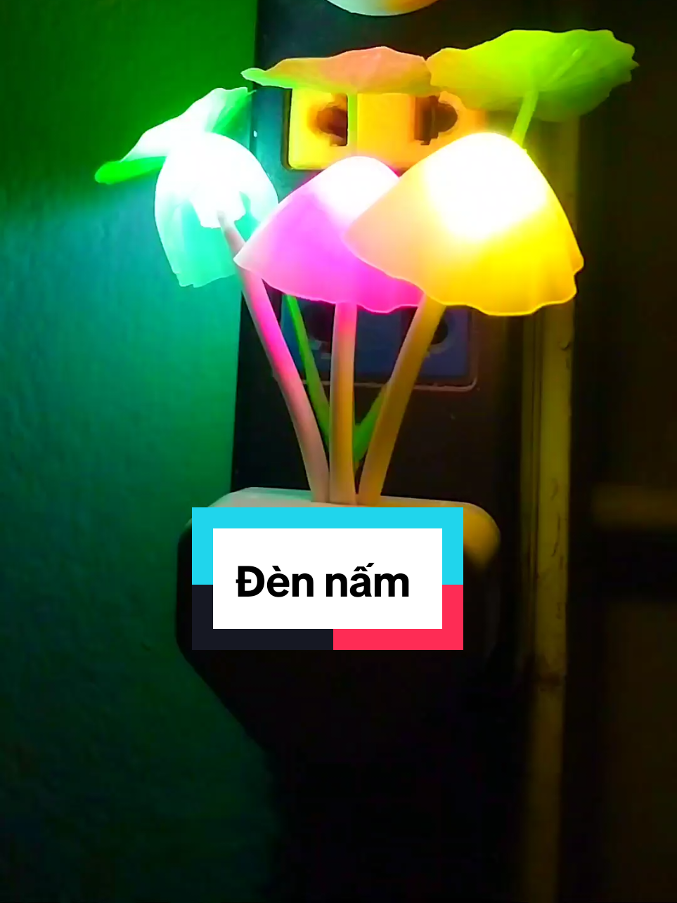 Combo 3 đèn ngủ cây nấm dễ thương.  Mọi người vào đặt nha. 