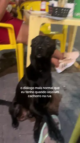 kkkkkkkkkkk esse áudio #fyp #cachorro 