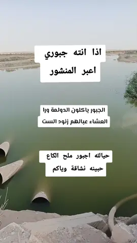 #بيجي #بيسان_اسماعيل #تحشيش_عراقي_للضحك😂😂😂😂😂 #اضحكو_بحب_اشوفكو_مبسوطين😂😁😌 #اجبور_وعز_اجبور #متابعه_ولايك_واكسبلور_احبكم 