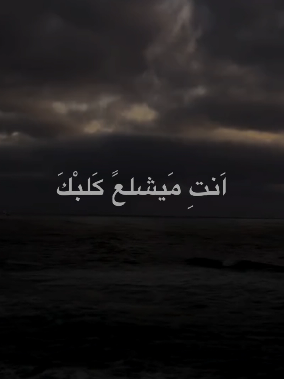 اله هذا ابو وجهين وابو شكلين #الشيخ_احمد_الوائلي  #اكسبلورexplore 