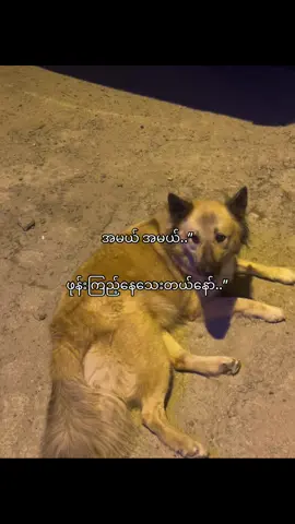 သိတယ်နော်…”🤣#fouryou #fpy #fpyシ #fpy_tiktok #fpyシviral #fouryoupage #fouryou #fpyシ #fpy #foryou #foryoupage #fouyou #fpyyyyyyyyyyyyyyyyyyyyyy 