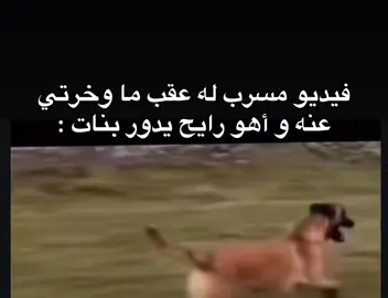 #فعلاً 👌🏻🤣🤣🤣🤣🤣🤣🤣🤣🤣🤣🤣🤣🤣🤣🤣🤣🤣🤣🤣🤣🤣🤣🤣
