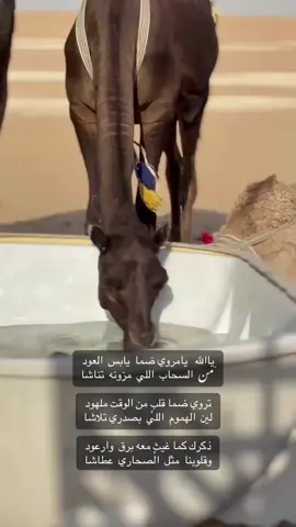 #اكسبلورexplore #صوره_وقصيده #يومياتي #العزبه 