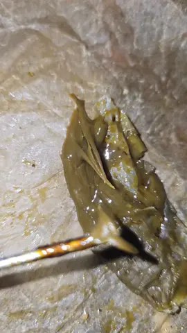 budder🇺🇲🧈🧊🥶 #pistacchio #caramel #españa #gourmet #marocco🇲🇦 