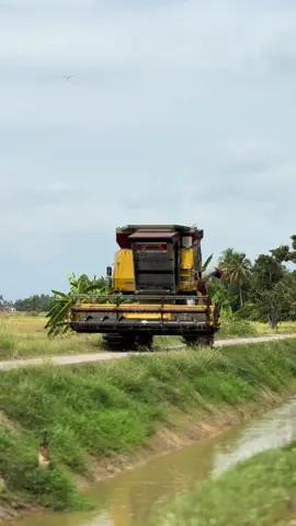 #cinematic #nh8060🌾 #kronippnjperakutara 