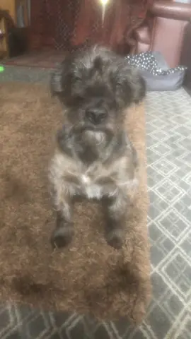 why is it blinking so much