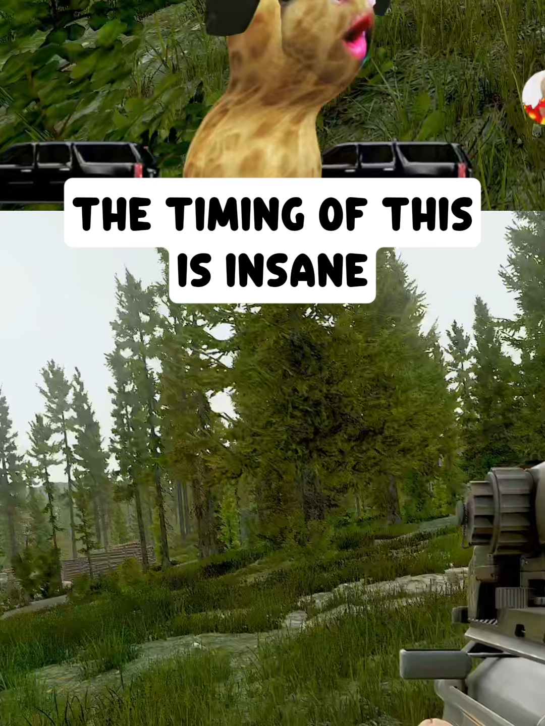 bro spoke it into existence #theburntpeanut #theburntpeanutclips #mrsilly #fyp #tarkov