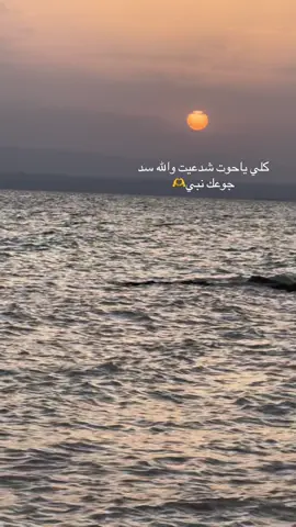 كلي ياحوت شدعيت والله سد جوعك نبي🫶