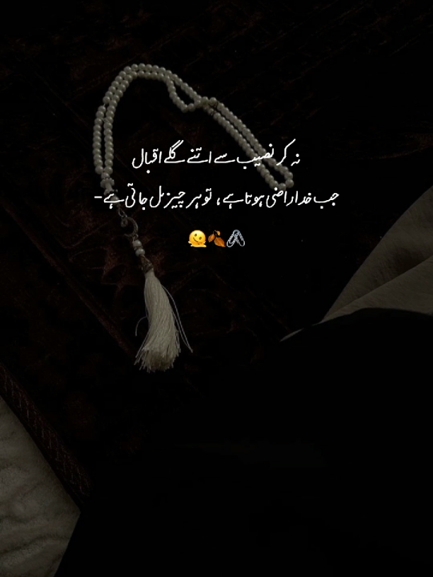 نہ کر نصیب سے اتنے گلے اقبال #urdupoetry #whatsappstatus #dontunderreviewmyvideo #unfreezmyacount #fyp #viral #poetrystatus #urdushairi #novelasmexicanas #islamicreminder #islamstatus💚 