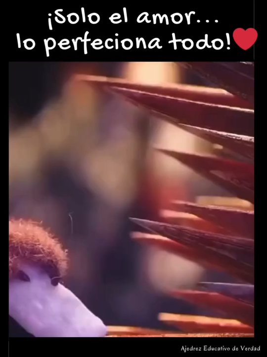 Me encantó ese video asi es en la vida real te menosprecian se aislan contigo pero como da vueltas profesionalmente ya te ven con otros ojos mayor atención es de no ser amigos me distancio de ellos yo no los necesito amigos en las buenas hay pocos eso es la verdad