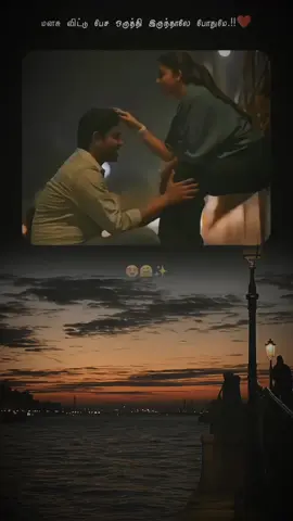 🤍🌹✨️#tamilwhatsappstatus #tamillovestatus #tamillovesong #100kviews #batticaloa 