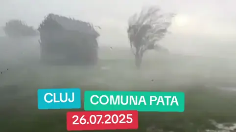 #cluj #comunapata #stiri #romania #WhatsApp 