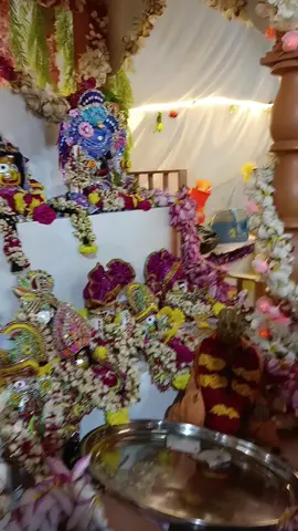 #CapCut #harekrishna🦚 #radheyradhey🦚🙏❤️ #iskcontemple #🌺🙏🌺🙏🌺🙏🌺🙏🌺🙏🌺🙏 
