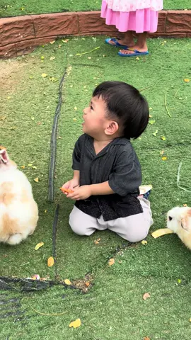 Im happy play with Rabbit 🐰🐇.. I give it a carrot 🥕 #toddler #toddlerholiday #toddlerplay #toddlerandrabbit #toddleradventures #devankahiung #happytoddler 