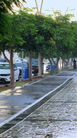 أبـهـا البهـيه بأجمل حُـلّه☔️🌧️ #ابها_الان #اكسبلور #explore #foryou #ابها #abha #discoversaudiarabia 