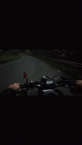 Mê lắm những khúc cua .... 🏍️ #rebel300 #phuot #motocruiser #canhdep #dalat #fyp #classicbike #biker #vietnam #xuhuong #nhachaymoingay #iphone15pro 