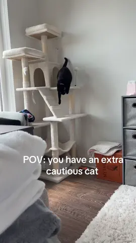 My little careful queen 🐈‍⬛👏💗#catsoftiktok #blackcatsoftiktok #cattok 