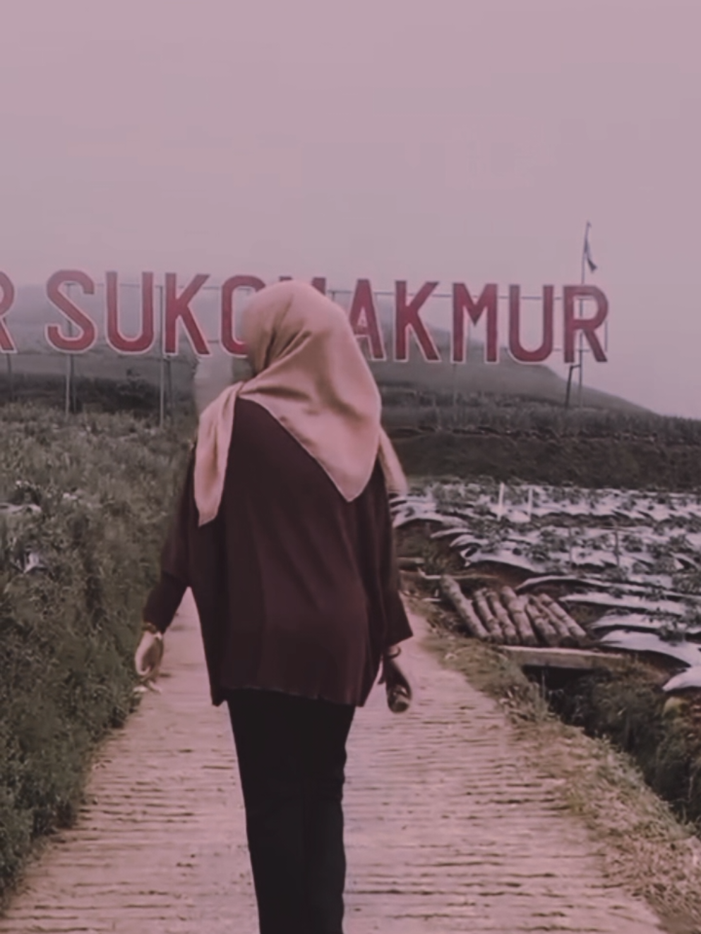 🥺#magelang #sukomakmur #sukomakmurmagelang #magelangexplore #negerisayursukomakmur #kaliangkrikmagelang #fyppppppppppppppppppppppp 