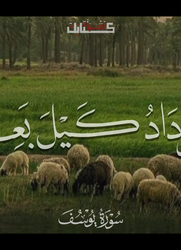 هَذِهِ بِضَاعَتُنَا رُدَّتْ إِلَيْنَا 🤎🎧 .  .  .  #قران #quran #الشحات_محمد_أنور 