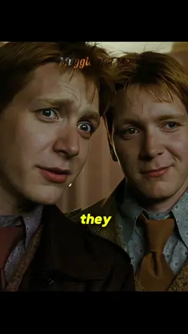 6 things about the Weasley twins you probably didn’t know #harrypotter #potterhead #hogwarts #harrypottertiktok #fyp 