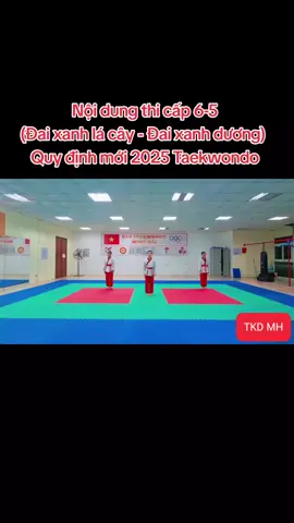 Nội dung thi cấp 6-5 (Đai xanh lá cây - xanh dương)  Quy định mới 2025 Taekwondo #vothuat #taekwondo #taekwondovietnam #WTF #TKD #clbtaekwondominhhai  #liendoantaekwondovietnam 