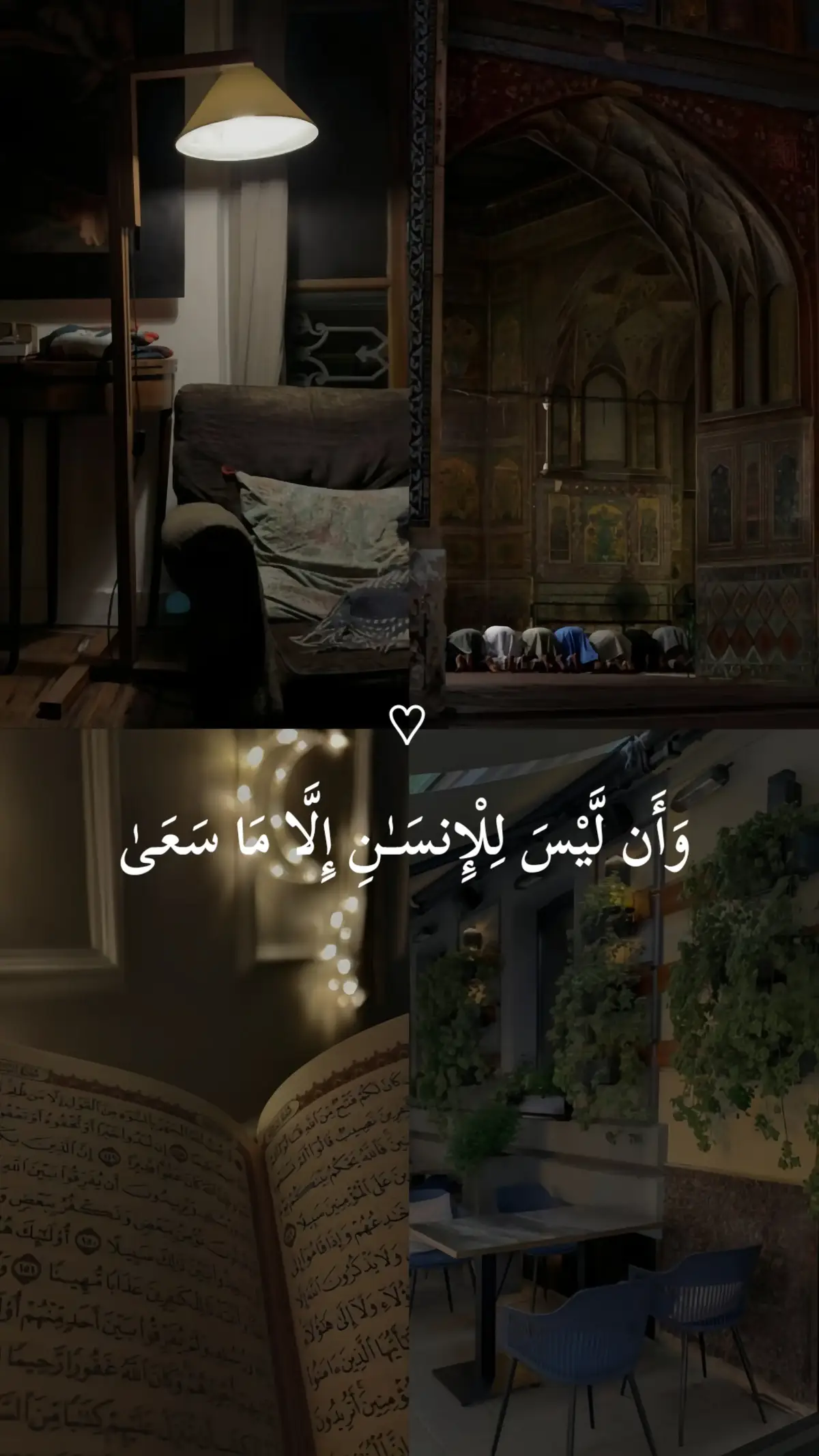 تلاوة خاشعة للقارئ معاذ صيام 🤎  سورة: النجم 🤎 #قران #معاذ_صيام #قران_كريم #سورة_النجم #quran 