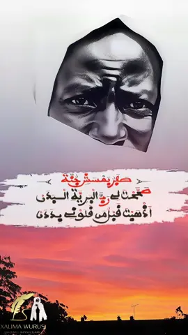 #serignetouba #18safar #viralvideos #fyp #pourtoi 