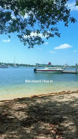 and thank goodness for that !! #miami #northbayvillage #Summer 