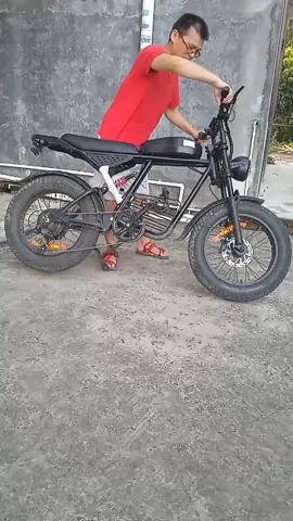 Affordable Electric bike