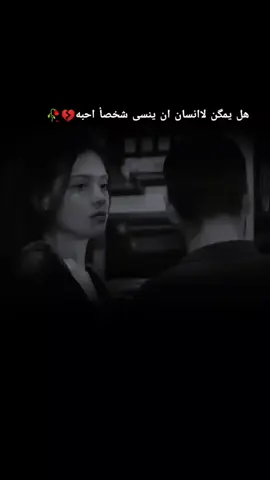 :حسيت كلبك غيري شايل، من كمت ما تقرة الرسايل، ما قصرت وياك فديوم، جنت اعتذرلك وانت عايل•