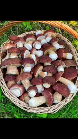 Asa minunății 🩵🩵
