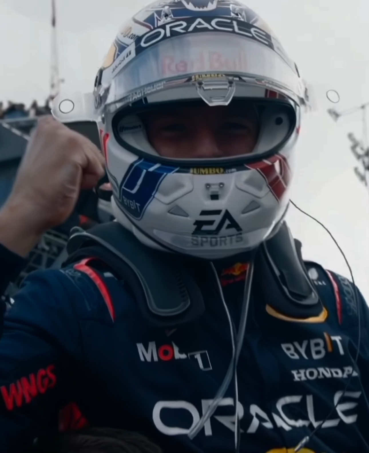 MAX VERSTAPPEN | The dutch lion 🦁🇳🇱 earth zoom | #maxverstappen #mv1 #verstappen #formula1 #f1tiktok #mv33 #f1