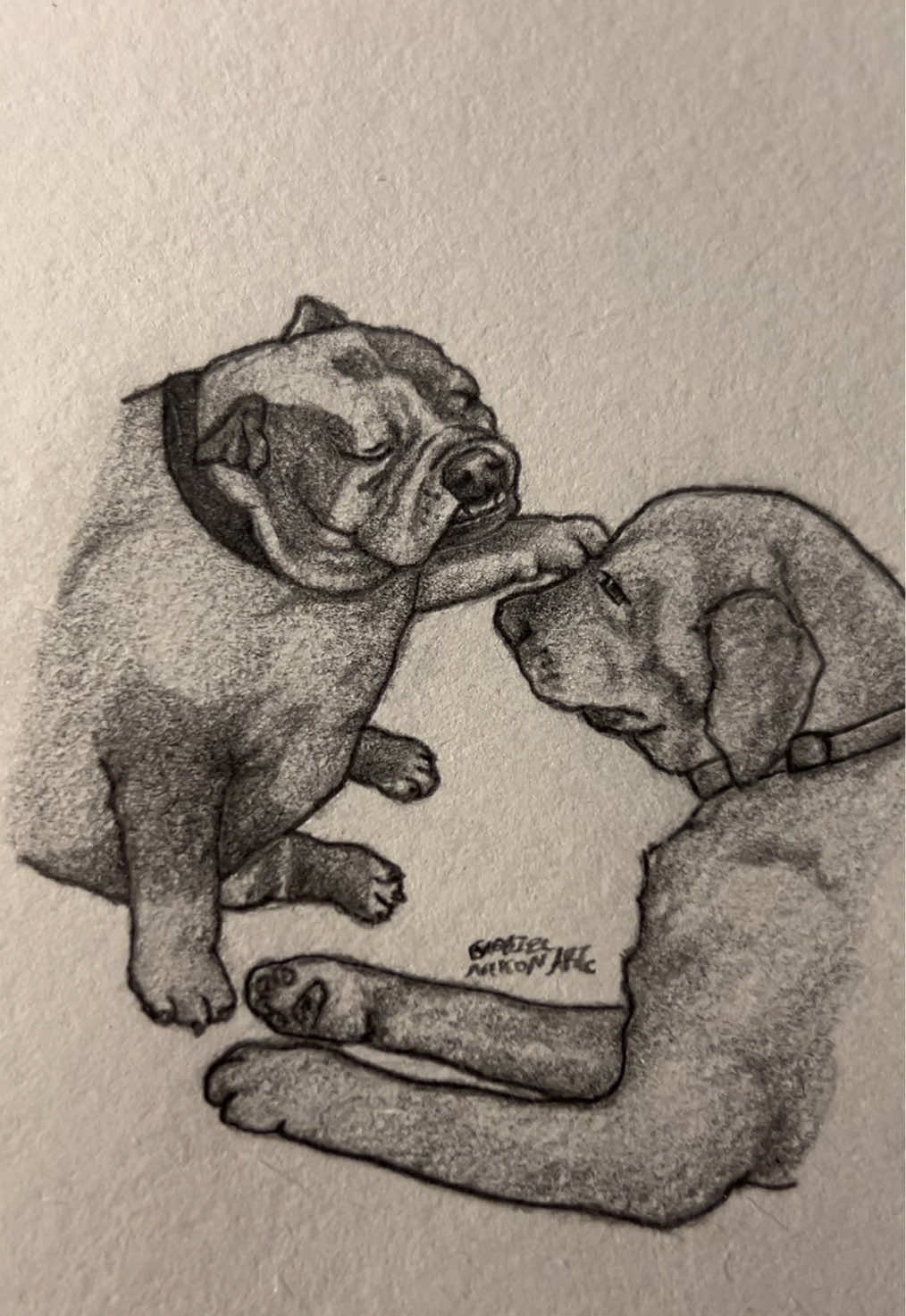Bro turned to Christ😭🙏     Credit- tfck/IG     #fyp #art #sketch #drawing #dog #linkinpark #foryouuuuuuuuuuuuu #fypシ 
