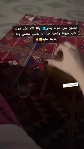 🤦‍♀️😂🫢 #ضحك_طقطقه_فله_وناسه  #غزاله2k #متابعه_فضلا_منكم #اكسبلورexplore #عزاميه_رايقه😌🖐🏻🤍 #حسابي_جديد #تفاعلو #غزاله🦌💜 #عواطف #عزاميه🌷 #🦌 #ضحكوو 
