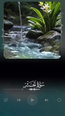 #سورتہ الحشر#القران_الكريم #talawat_e_quaran_e_pak #foruyou 