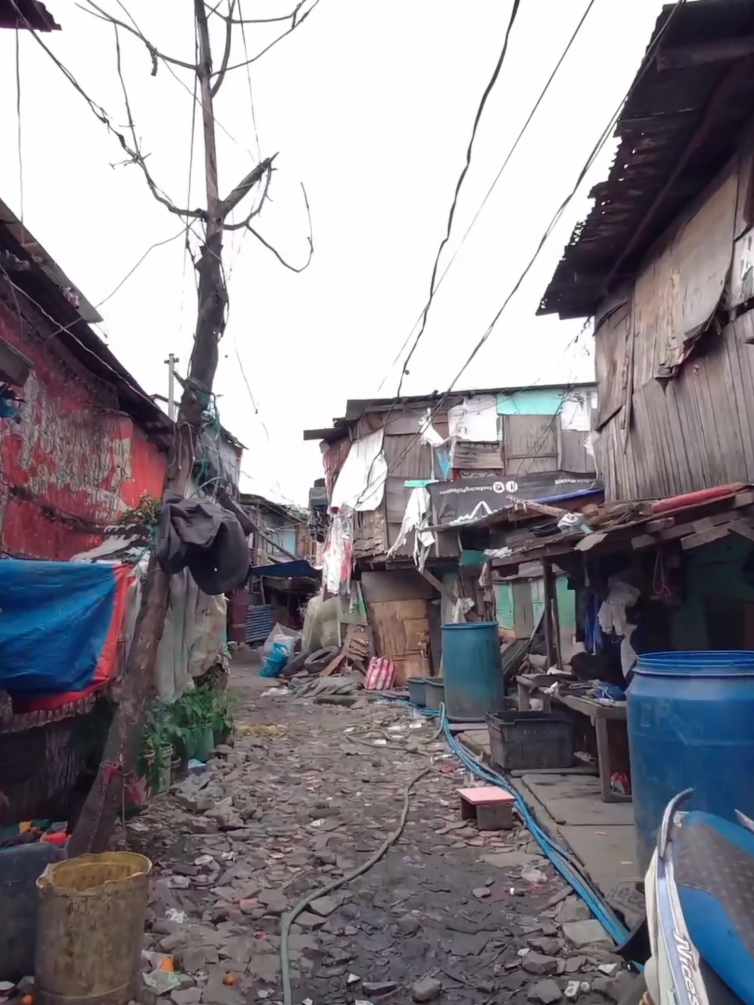FREEDOM (humanitarian aid) #FreedomSong #HumanitarianCrisis #AidRelief #HopeInHardTimes #ProtestRock #HardRockForChange #MusicThatMatters #GenZMusic #FreedomAnthem #RockForHumanity #tiktokmusic #consequencofenergy #never #gonna #Freedom