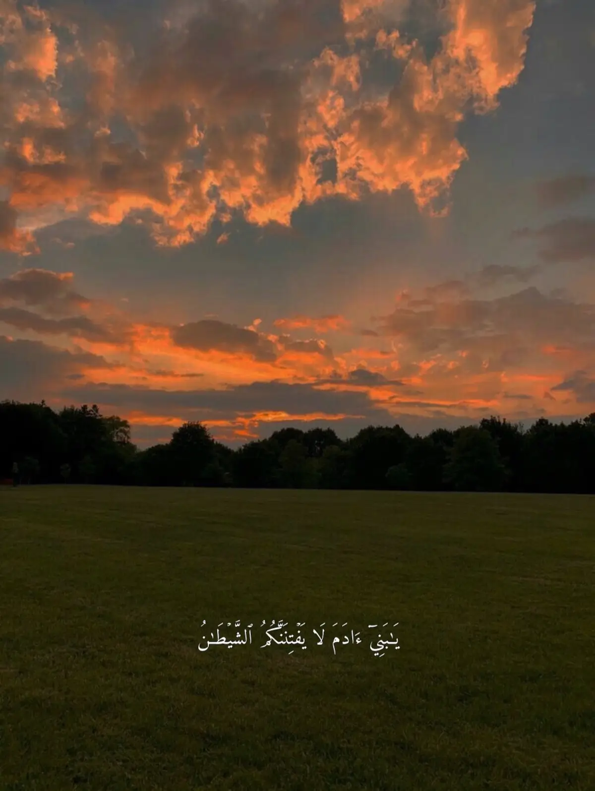 #قران_كريم #قران #quran #quran_alkarim #fyp 