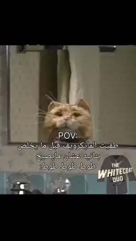 من يسوي كذا غيري😂🤣 #fyp  #fpyyyyyyyyyyyyyyyyyyyyyy #الشعب_الصيني_ماله_حل😂 #foryou #ksa 
