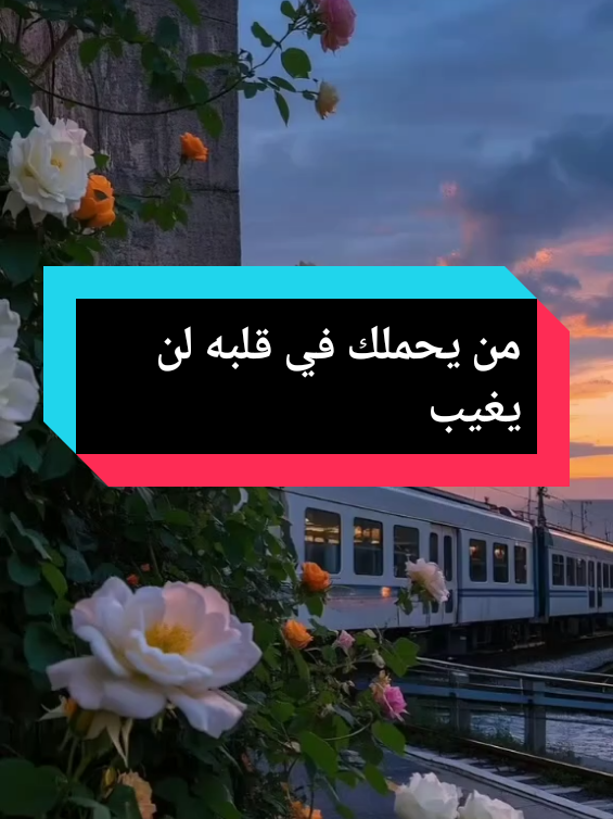 من يحملك في قلبه لا يغيب  #كلام_من_ذهب #كلام_من_القلب #حكم #خواطر #اقتباسات 