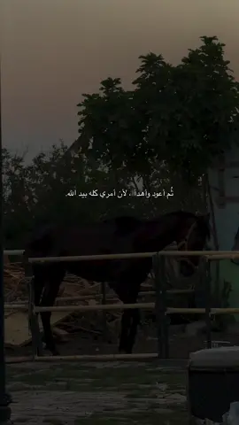 ثم أعود وأهدأ لان امري كله بيد الله 🖤