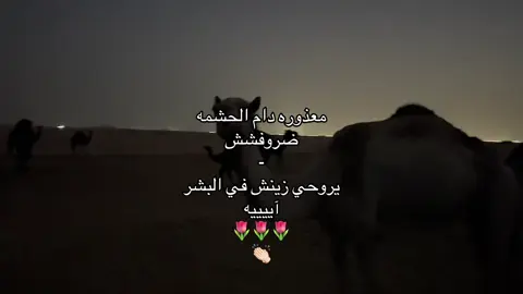 #fyp #foryou #اكسبلور #تيك_توك 