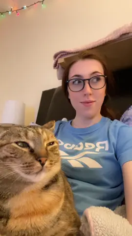 Our friend Moose! #cats #funny #fypシ゚viral #fyp #foryoupage #catsoftiktok #catcontent #catvideo #lol 