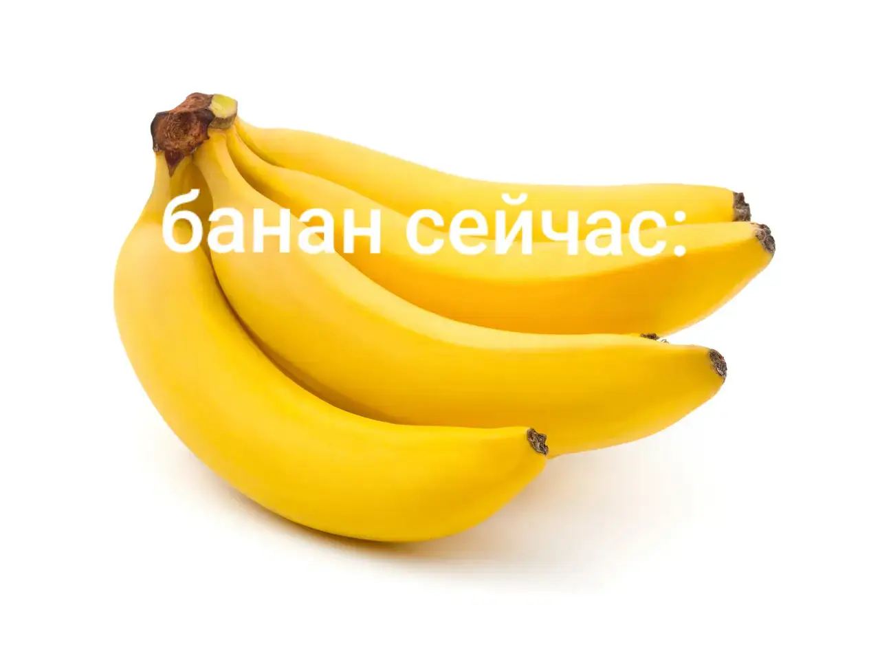 #бред #картинки #комедия #бравлстарс #тикток 