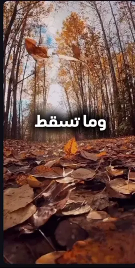 وما تسقط من ورقة يعلمها الله