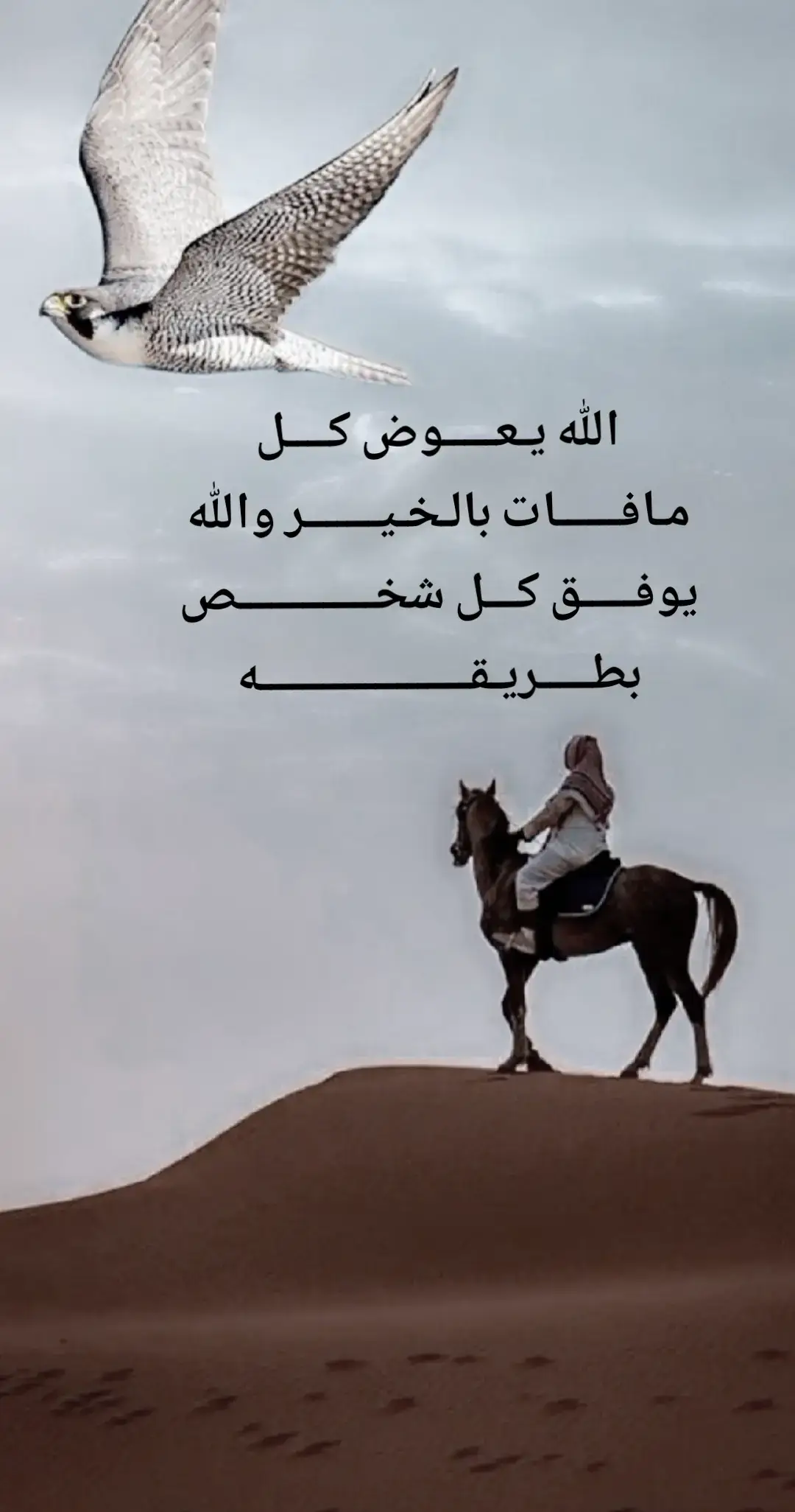 #اكسبلورexplore #اكسبلور 