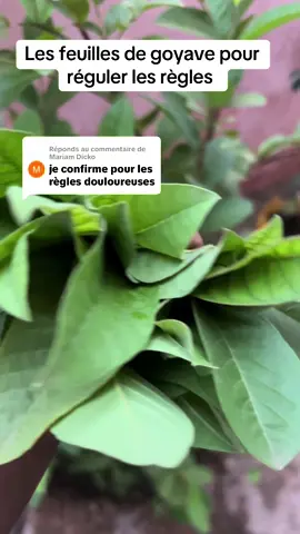 Réponse à @Mariam Dicko #tiktokafrique🇹🇬🇨🇩🇨🇮🇧🇯🇬🇦🇨🇲🇬🇦 #pourtoi #astuce #naturel #visibilité 