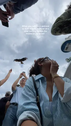I wanted to get off this boat ASAP😣🕊️🦅 #birdfeeding #amanohashidate #kyotojapan #activitiesinjapan 
